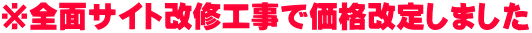 ※全面サイト改修工事で価格改定しました