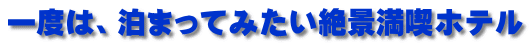 会食プラン