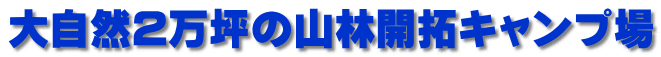 大自然2万坪の山林開拓キャンプ場