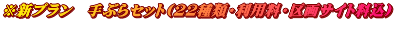 ※新プラン　手ぶらセット(22種類・利用料・区画サイト料込) 　　　　　　